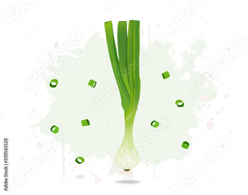 Green Onion root vegetable vector illustration on white background
