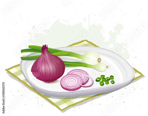 Red and Green Onions Root Vegetable vector illustration