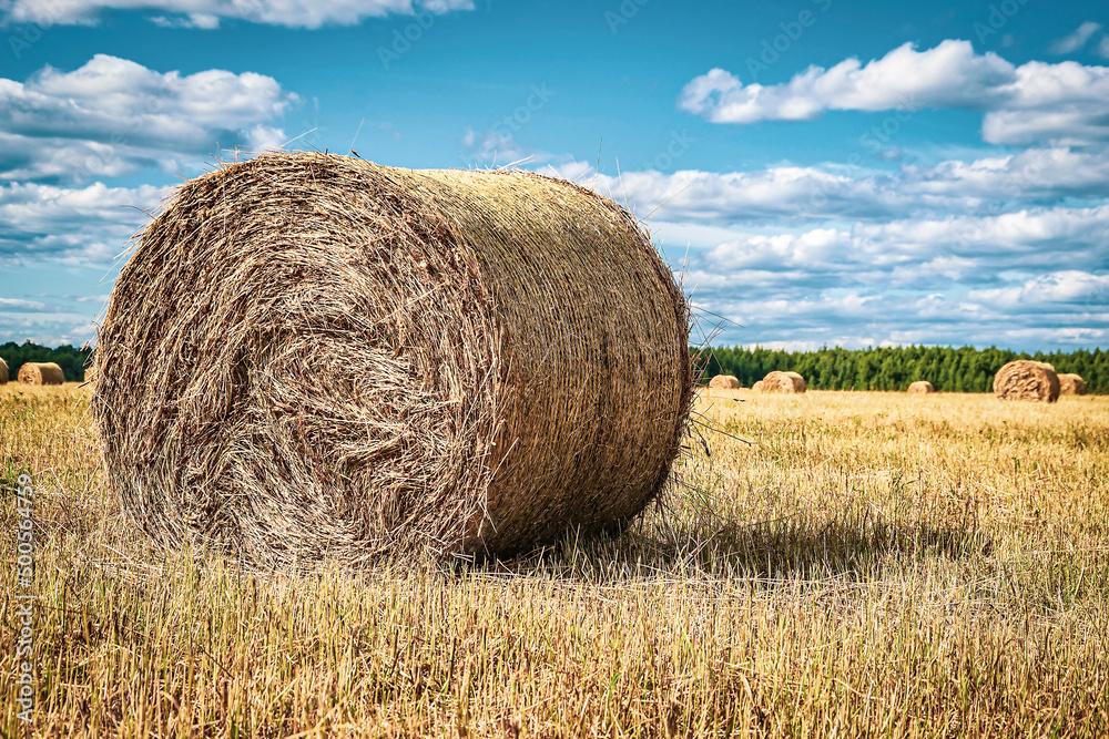 a bale of straw in the field