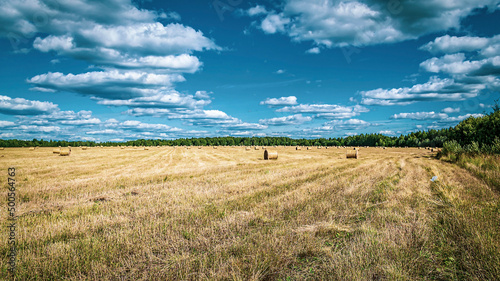 a field with straw bales