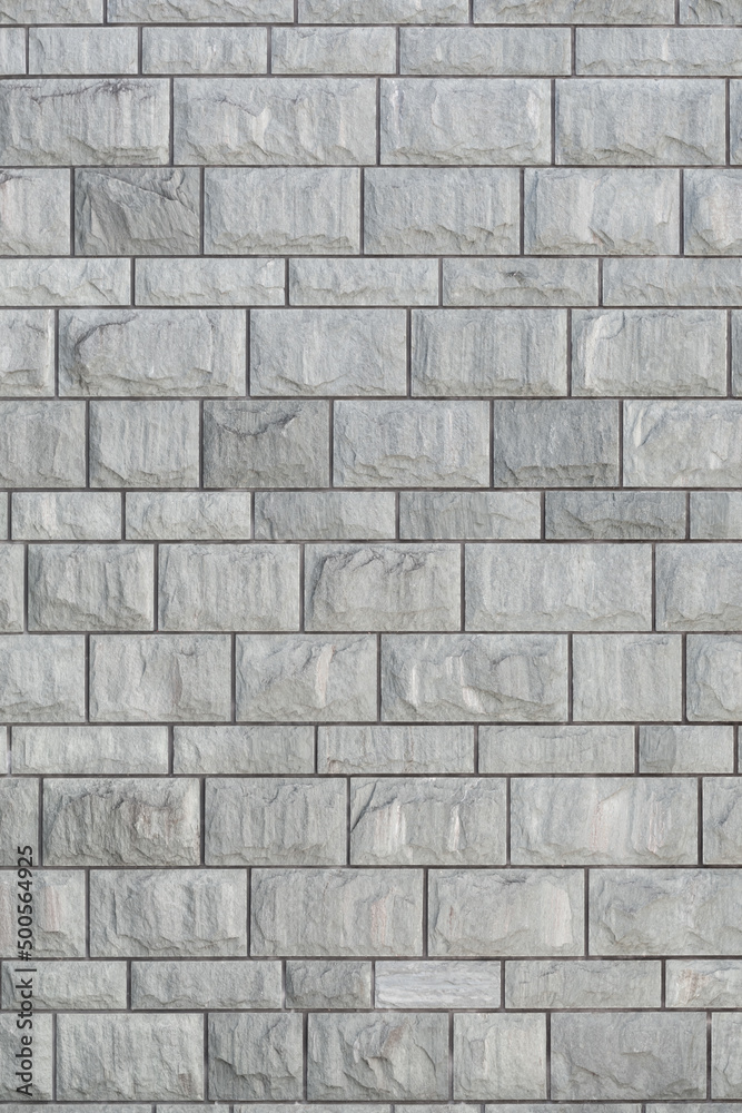 Fototapeta premium 壁