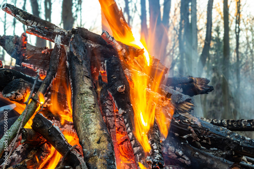 Campfire in the spring forest. Rest on the weekend. Danger of forest fires