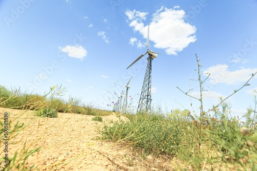 Wind turbines for green ecological power energy generation and green wild flowers