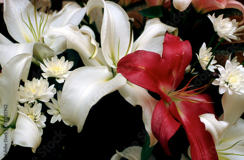 Bouquet
