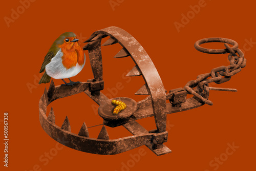 Rusty Robin