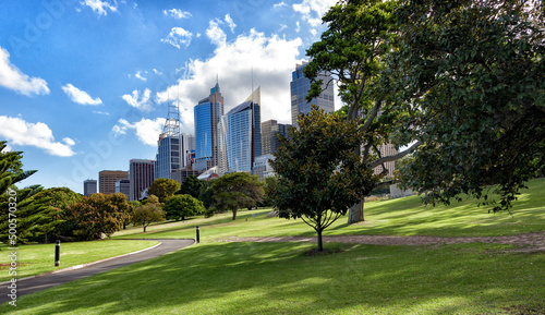 City Buildings of Sydney from the Botanic Gardens