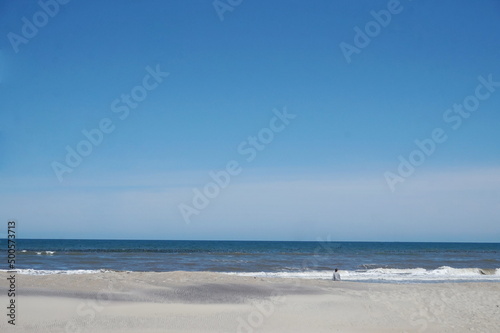 Landscape of Woman Sitting on Beach with Ocean on Sunny Day