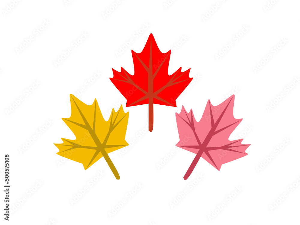 Maple flower collection. Yellow, red and purple maple. Maple flower collection. Yellow, red and purple maple.