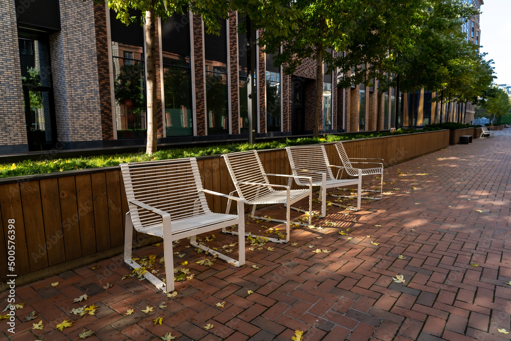 Outdoor gardening image for residential apartment building concept. Empty metal chairs in city courtyard with maples growing in rows in alley in fall