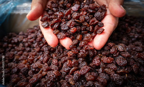 Hand of female holding of dry raisins with black dry raisins background. harvesting concept photo