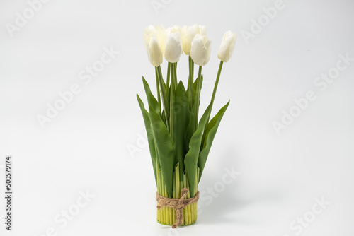 Colorful tulips in a field on a white background