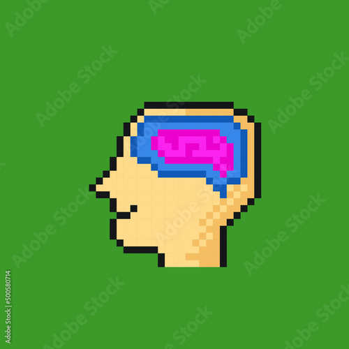 brain in head with pixel art style