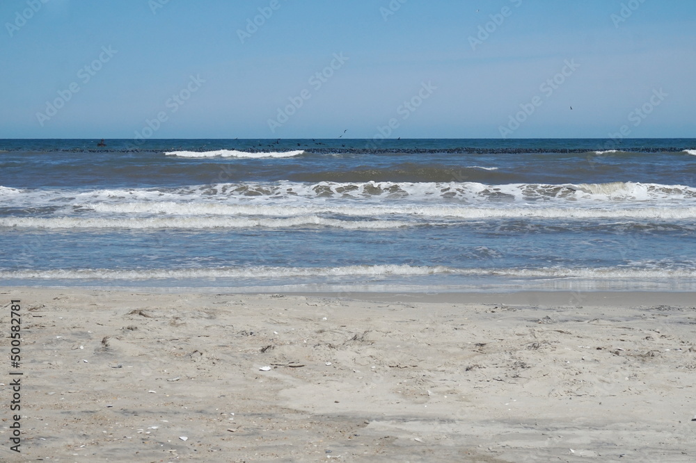 Ocean Shoreline with Flock of Black Birds on Water and Beach