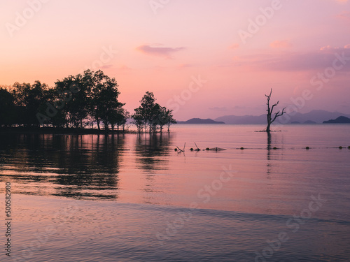 Scenic view of sunset orange sky at peaceful sea bay with lonely tree in the middle of water and layer islands. Koh Mak Island, Trat, Thailand. Minimal background.