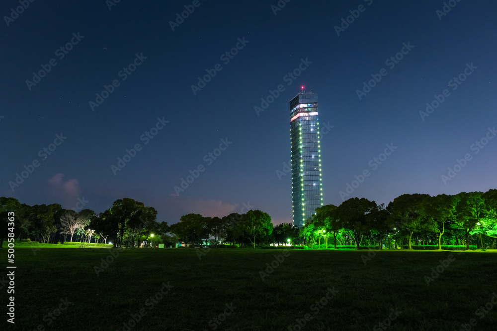 Fototapeta premium 千葉市中央区 夜の千葉ポートタワー