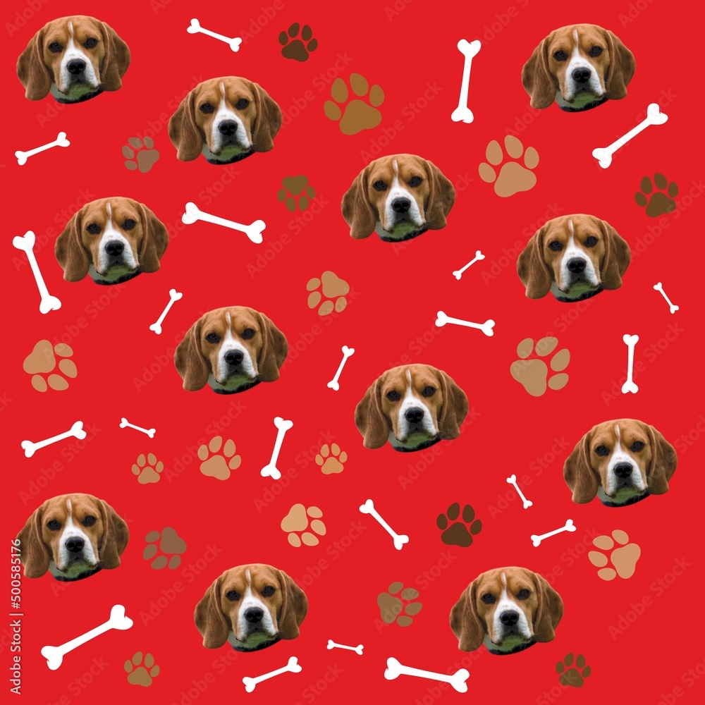 pattern with dogs bones step
