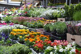 stragan sklep ogrodniczy bazar wiosna 