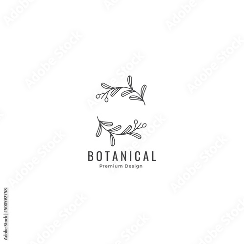 olive oil leaf logo botanical line art