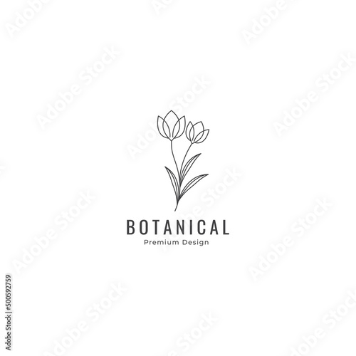 lily flower line logo minimalist