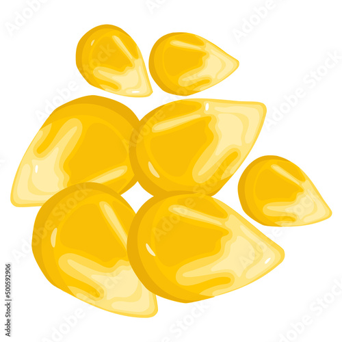 Corn Seeds 