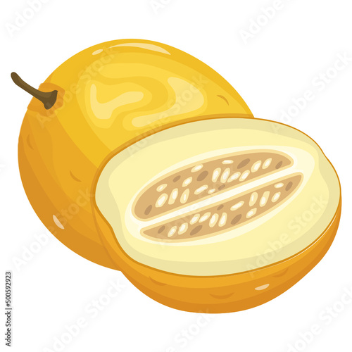 Melon 