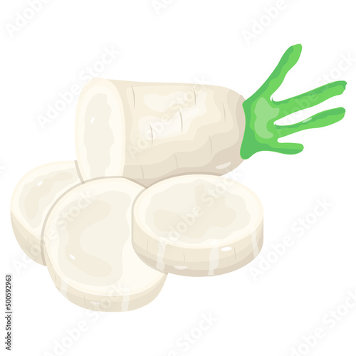 Radish 
