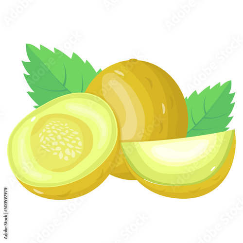 Cantaloupe 