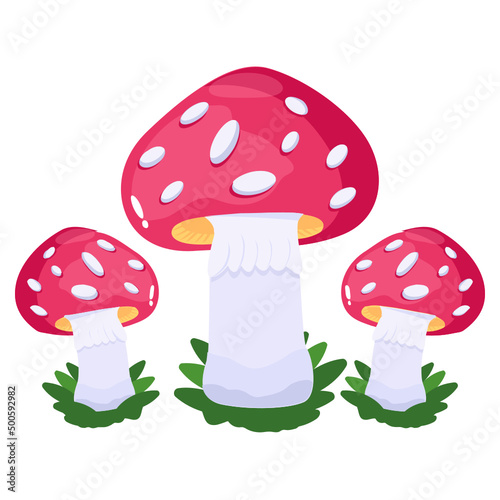 Mushrooms 