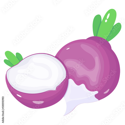 Turnip  