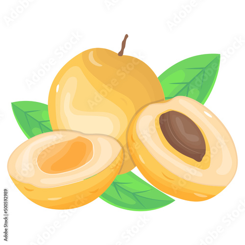 Apricots