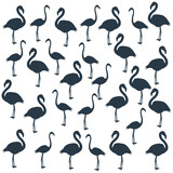 Tropical wildlife, flamingo bird, seamless pattern stock illustration