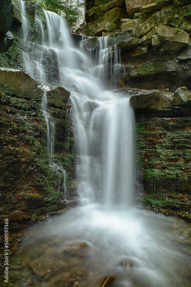 Obraz premium Spring is coming by the mountain stream