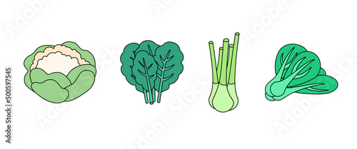 Vegetables, greens, fruits set. Isometric vector illustration in flat design. Outline, linear style, line art. Meal preparation. Icon.
