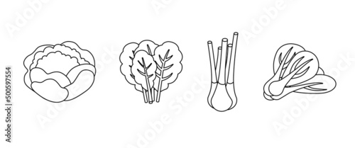 Vegetables, greens, fruits set. Isometric vector illustration in flat design. Outline, linear style, line art. Meal preparation. Icon.