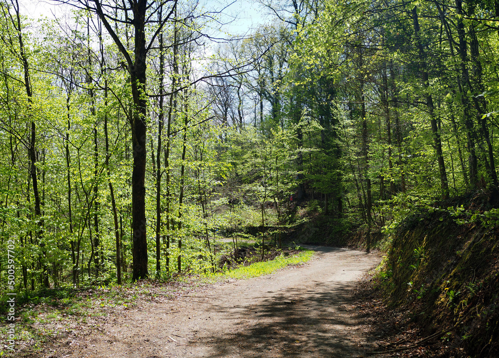 Obraz premium Wanderweg am Kaiserstuhl