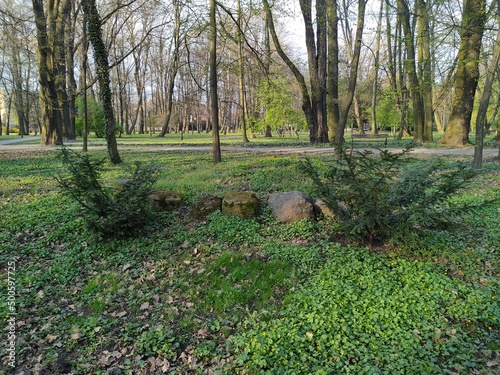spring in the park
Głazy w parku 2