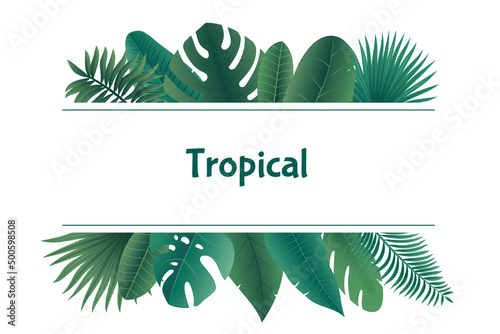 Jungle leaves framing. Exotic tropical greenery background with leaves botanical boarder. Vector illustration