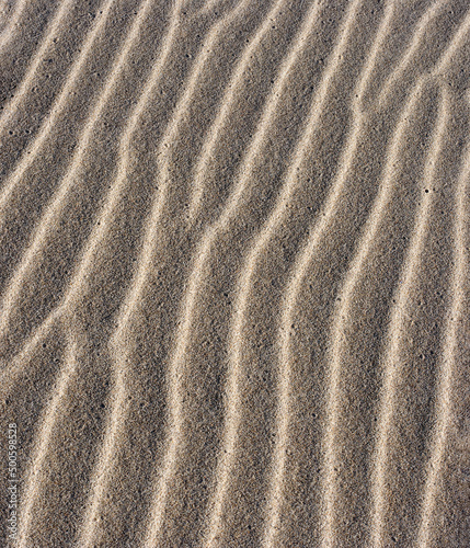 Sand dune ripples