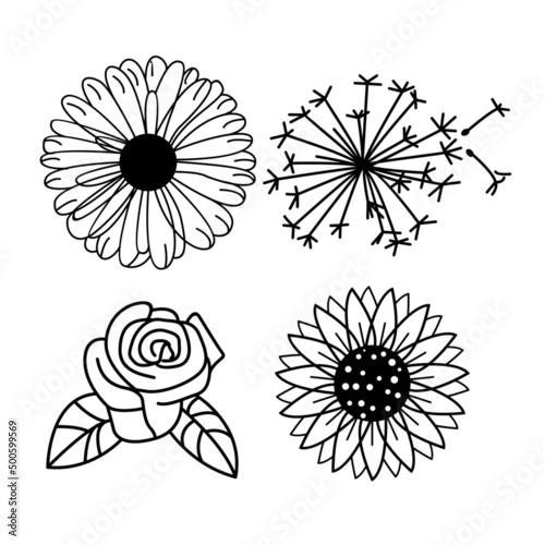 Set of four vector flowers. Illustration of a daisy, a rose, a dandelion and a sunflower.