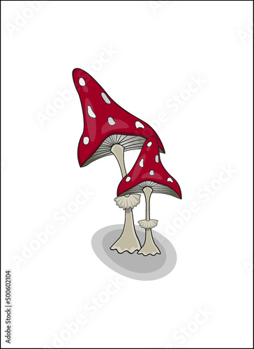 mushroom