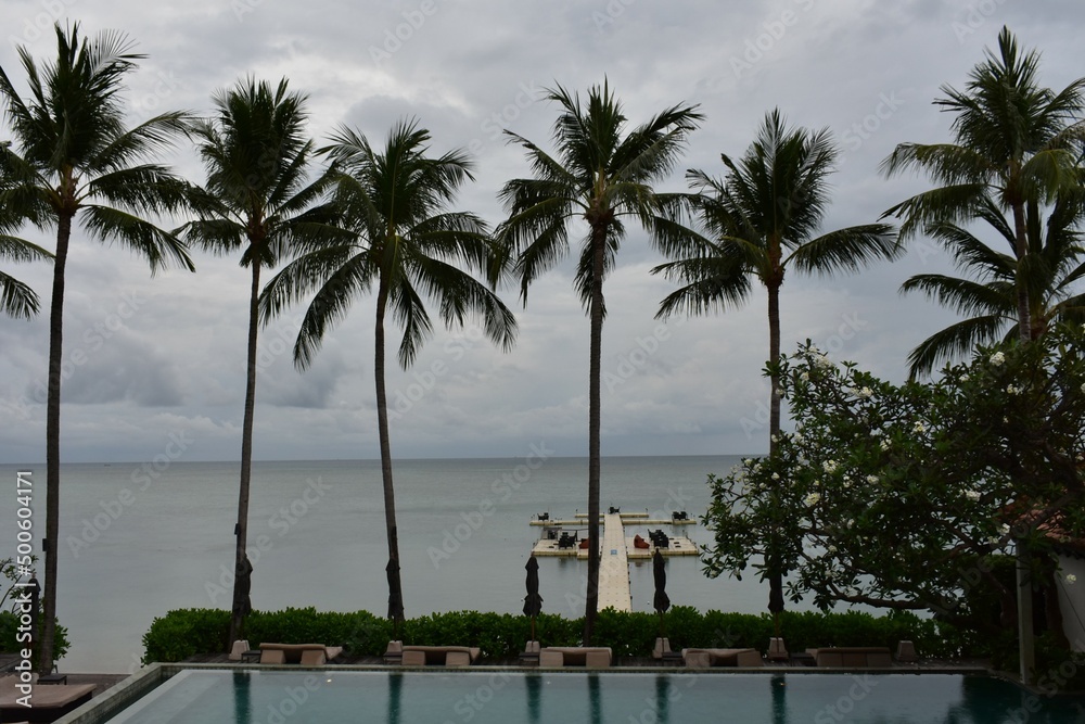landscape of coconut trees and floating on the beach in rainy cloud  SAMUI  THAILAND