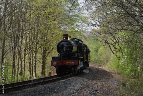 the lady of legend traveling though the severn valley railway photo