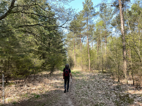 Man walking through the forest around Junne