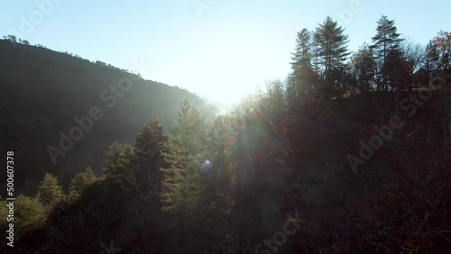 Survol d'une crête boisée de sapins d'une vallée sauvage dans la brume hivernale des Cévennes du Sud de la France.