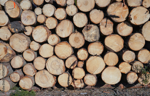 stack of wood