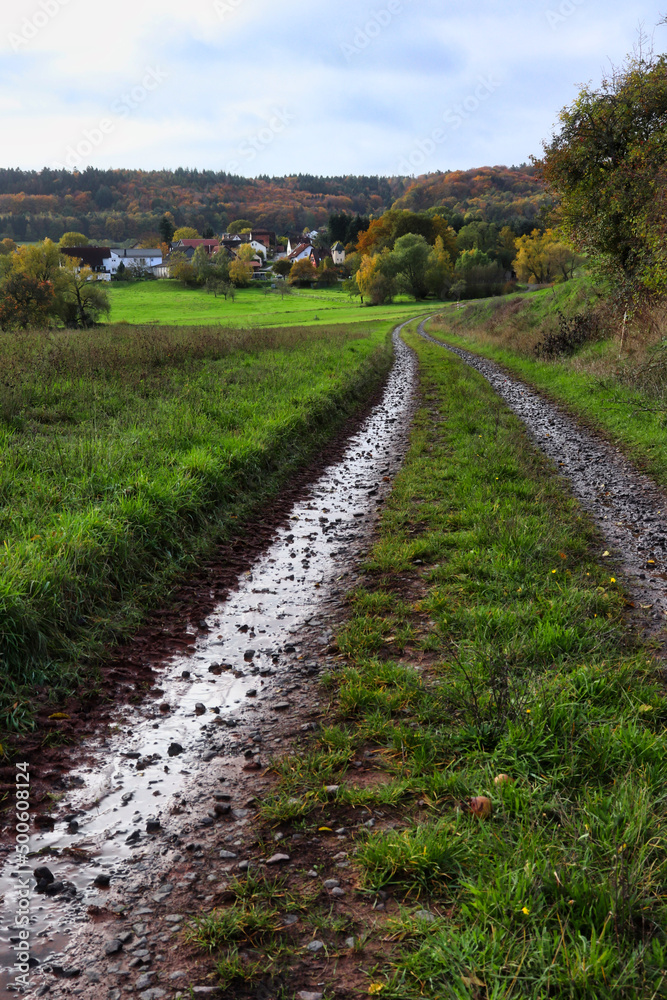 Wet, muddy tracks on a road leading to a small village near the Palatinate forest of Germany on a fall day.