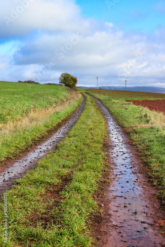 Wet muddy tracks on a dirt road/path surrounded by green grass and fields near Potzbach, Germany on a cloudy fall day.
