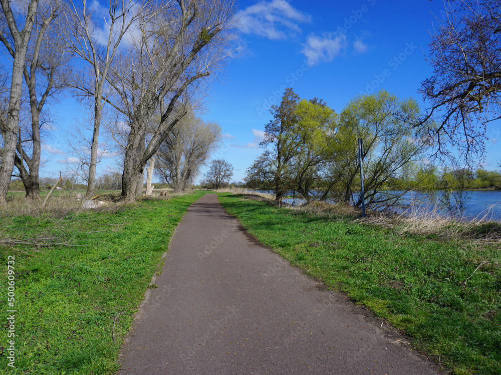 Der Elberadweg in der Nähe von Magdeburg in Sachsen Anhalt