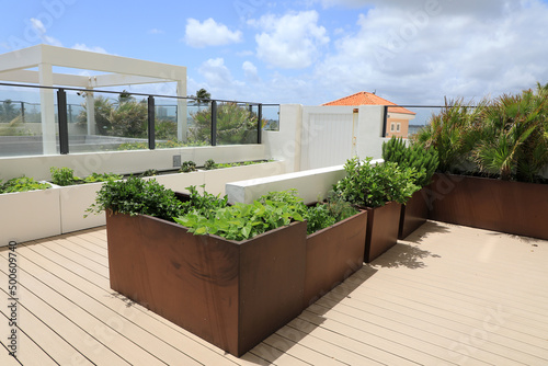A home garden using planters on an outdoor raised terrace at a condo, with vegetables and herbs. photo