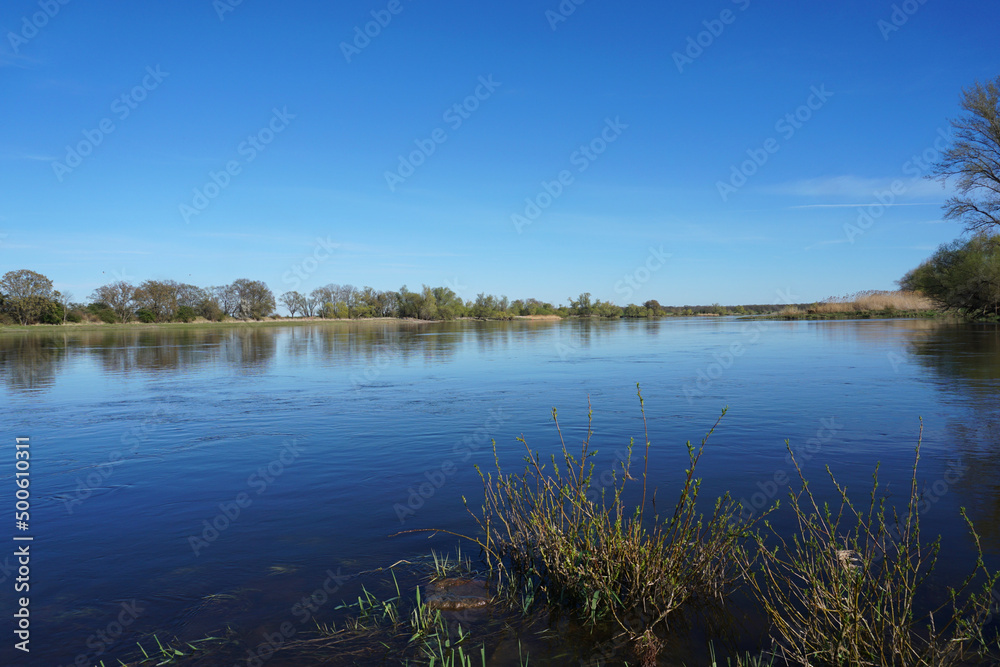 Blick auf den Fluss Elbe in der Nähe von Magdeburg